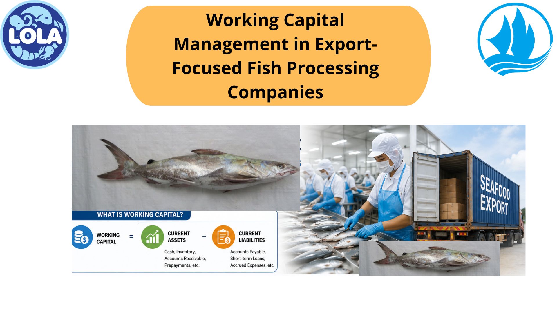 Working Capital Management in Export-Focused Fish Processing Companies
